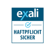 Exali Logo